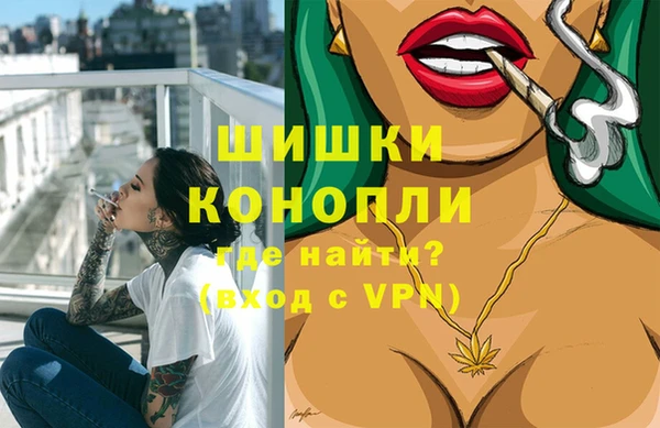 МДМА Ельня