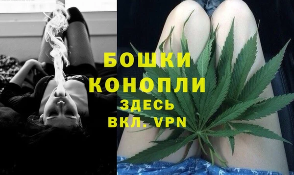 МДМА Ельня