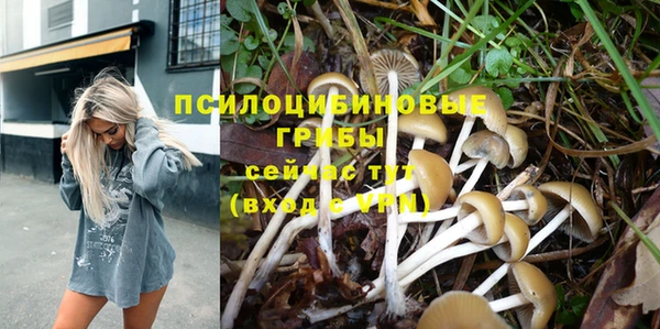 МДМА Ельня