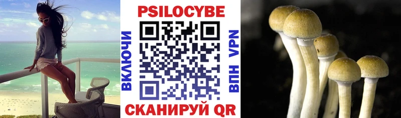 MEGA зеркало  наркошоп  Мариинский Посад  Галлюциногенные грибы ЛСД 