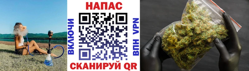 наркота  Мариинский Посад  Каннабис конопля 